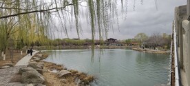 湖 鸟 蓝天