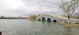 湖 鸟 