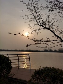河边朝阳