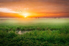 湿地草原夕阳
