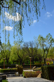 公园风景