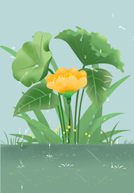 谷雨素材