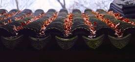 中式屋檐
