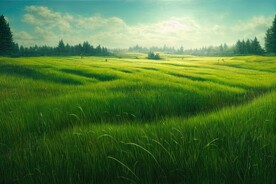 草原风景