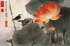 花与鸟