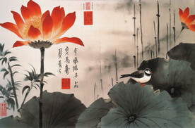 花与鸟