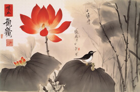花与鸟