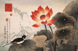 花与鸟
