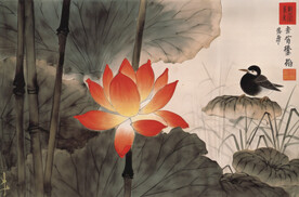 花与鸟