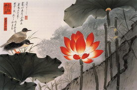 花鸟相映