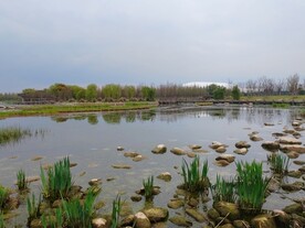 湿地石头景观