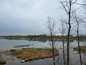 湿地公园风景
