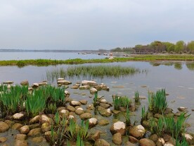 湖边石头滩