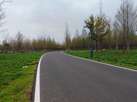 乡村公路弯道