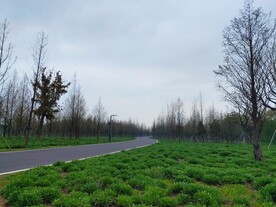 公路弯道风光