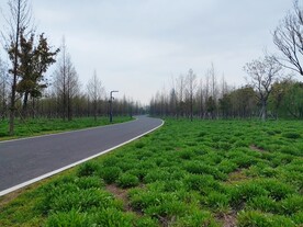沥青路弯道