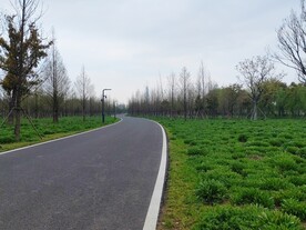 柏油马路弯道