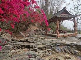 山间风景