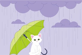 打伞猫咪