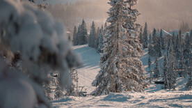 极地雪松雪天山上美景壁纸