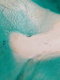 海水