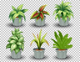 绿色卡通盆栽绿植素材