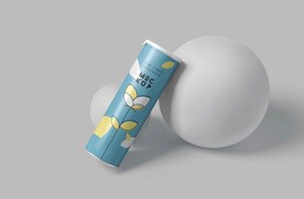  薯片桶子 