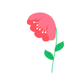 小清新花朵