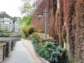 湘江河道旁路灯