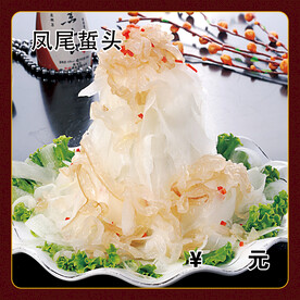 凤尾蜇头