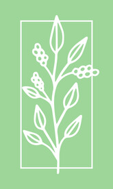 植物海报