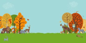   秋天Banner 