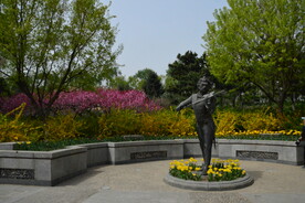 公园风景 