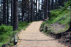 山中小路