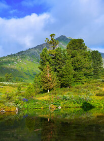 阿尔泰美景