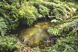 自然风景