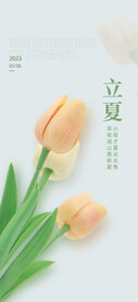 立夏