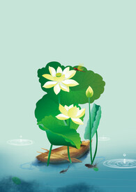荷花