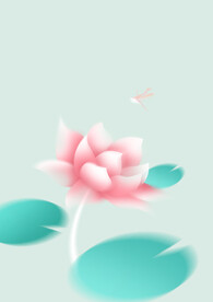 荷花