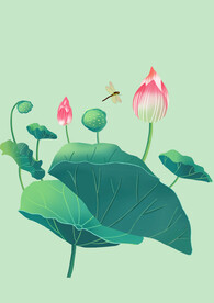 荷花