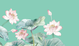 荷花