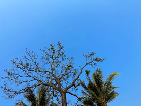 天空