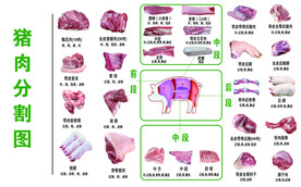 猪肉分割图