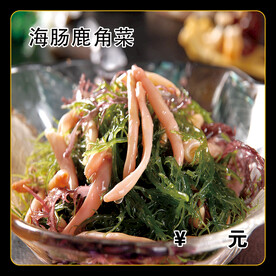 海肠鹿角菜