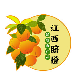 江西脐橙  