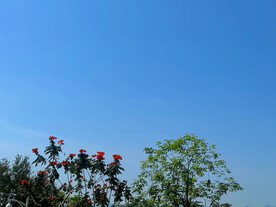 天空
