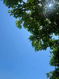 夏日阳光