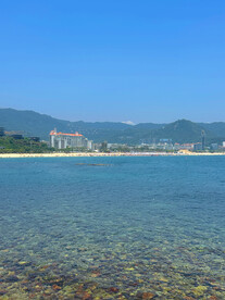 大海