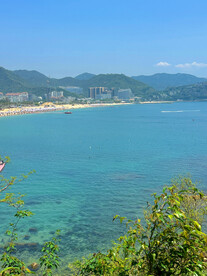大海