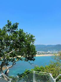 大海